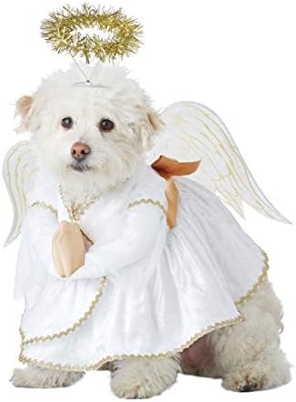 אוספי תלבושות בקליפורניה מחמד תלבושות כלבים של כלב שמייב, לבן/זהב, ארהב גדולה