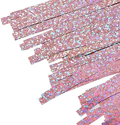 וילון שוליים של זרודיס מטאלי טינסל רדיד וילון שוליים לתפאורה רקע ליום הולדת מקלט DIY 39.4 x 78.7in
