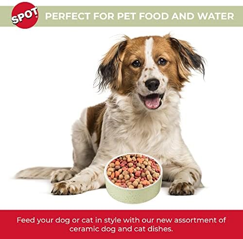ספוט על ידי מוצרים אתיים - כבד קרמיקה מבריק כלב קערת חתול קערת עמיד כלב מזון ומים לחיות מחמד צלחת-מדיח כלים