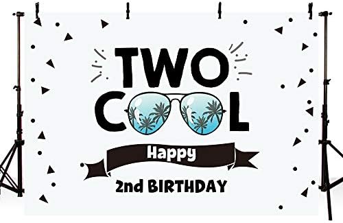 מהופונד שני משקפי שמש מגניבים רקע נושא שמח 2 מסיבת יום הולדת קישוט רקע צילום באנר לשולחן עוגה