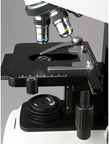 אמסקופ ב600מיקרוסקופ תרכובת משקפת סידנטופף מקצועי, הגדלה פי 40-1600, ברייטפילד, תאורת הלוגן, מעבה אבה, שלב מכני