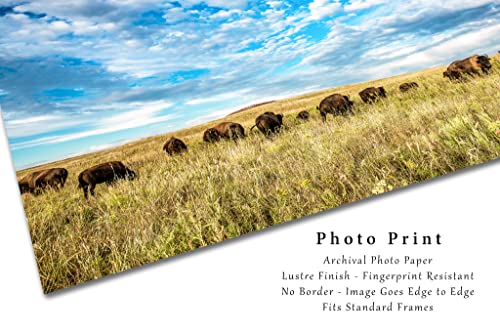 מערבי צילום הדפסת תמונה של באפלו עדר תחת גדול כחול שמיים על דשא גבוה ערבה באוקלהומה ביזון קיר אמנות חיות בר