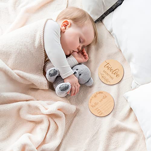 תינוק הכרזה סימן 14 יחידות תינוק חודשי מיילסטון סמן דיסקים, עץ מיילסטון כרטיסי סימן תינוק אבזרי תמונה כפול צדדי