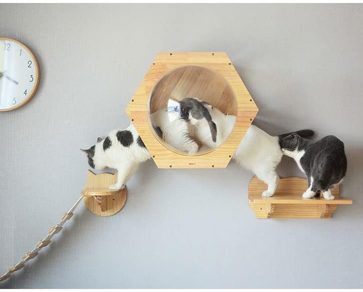 וולנוטה חתול צעצוע חתול גשר סולם טיפוס מסגרת חתול עץ בית עץ חתלתול קפיצות פלטפורמה עשה זאת בעצמך לחיות מחמד
