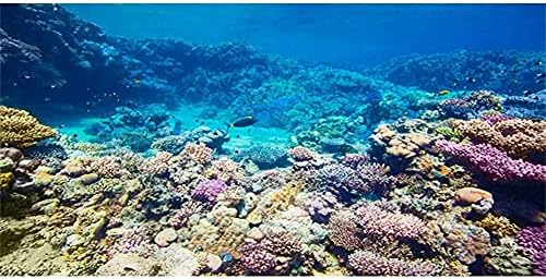 רקע אקווריום AWERT שונית אלמוגים דגים טרופיים דג דגים תת -ימי רקע 24X12 אינץ 'רקע פוליאסטר