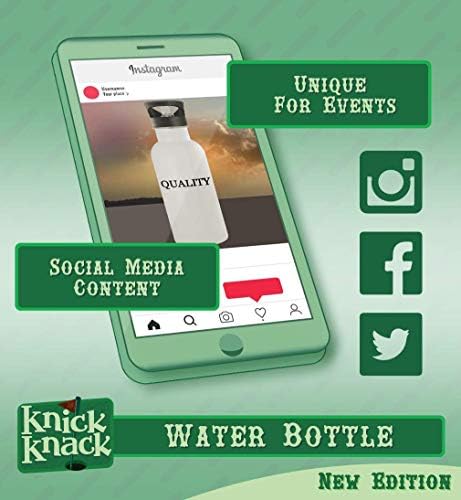 מתנות Knick Knack Internetness - בקבוק מים מפלדת אל חלד 20oz, כסף