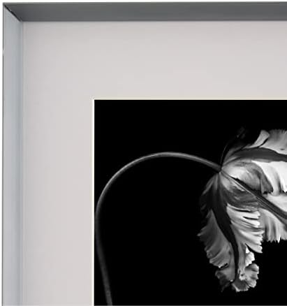 מסגרת דיוקן מיקאסה מתכת, מציגה תמונה 5x7 עם מחצלת, 8x10 ללא מחצלת, אפור מטאלי