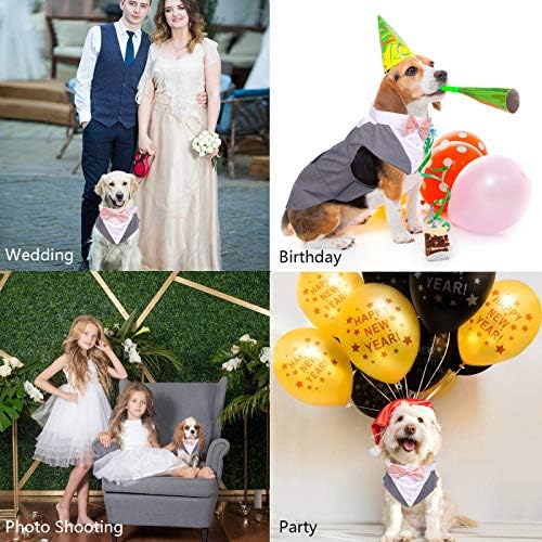 חליפת טוקסידו של כלבים ותפאורת בנדנה, קטנים בינוני גזעים גדולים ומסיבת לבוש לחתונה של כלבים, תחפושת נסיך