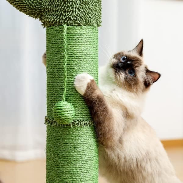 קקטוס חתול עץ חתול גרדן עם סיסל גרוד ואינטראקטיבי מתנדנד כדור לחתולים מקורה ירוק