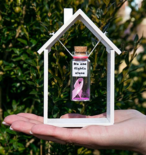 מתנה לסרטן השד לחברים סרטן תמיכה בחולה מתנה להודעת עידוד הסרטן שלה בבקבוק צנצנת משאלות כימיה מרוממת