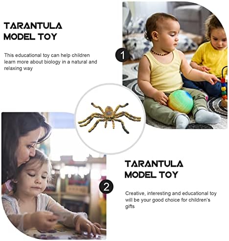 קבילוק ילדים צעצועי ילדים צעצועי ילדים צעצועי 2 יחידות דקורטיבי טרנטולה מודלים חי טרנטולה צעצועי