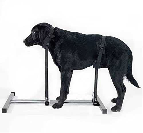 עמדת גידול כלבים של HQSLC, עמדת טיפוח כלבים נירוסטה עם גובה ואורך מתכווננים של צווארון, סוגר קבוע