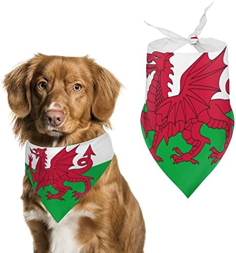 דגל ויילס וולשי מצחיק צעיף חיות מחמד ביקורות משולשות לכלבים מודפסים על קישוט אביזרים