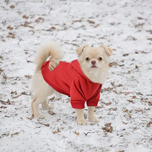 סוודרים של צ'יוואווה לכלבים קפוצ'ון גור עם כיס בגדי כלבים קטנטנים צמר חורף פליס חום כלבים חיית מחמד סווטשירט