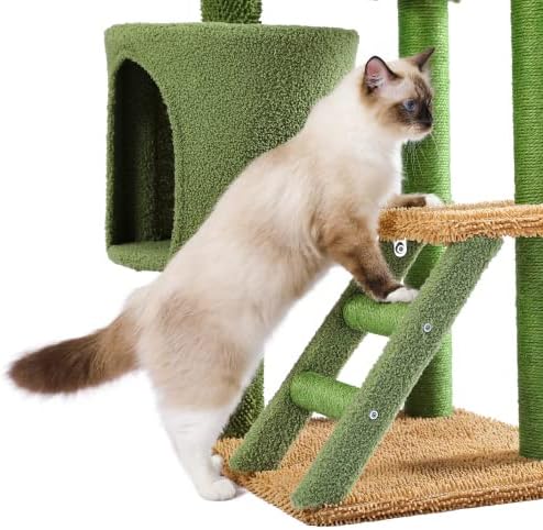 חתול עץ מגדל עבור מקורה חתולים / חתול דירה עם ערסל ומדבר קקטוס חתול עץ סולם, חתול טיפוס לעמוד עם חמוד תליית כדור