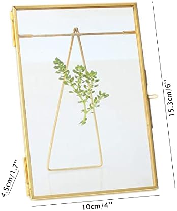 LVPAGE 4 x 6 תמונות זכוכית פליז מסגרת שולחן עבודה זכוכית זהב צפה מסגרת לחוצה לפרחים יבשים זהב