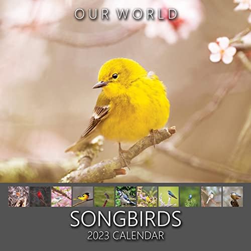 לוח השנה של ציפורי השיר העולמי שלנו 2023 - מתכנן משפחתי ומארגן יומי עם תמונת לוח שנה של ציפור השיר החודשית של