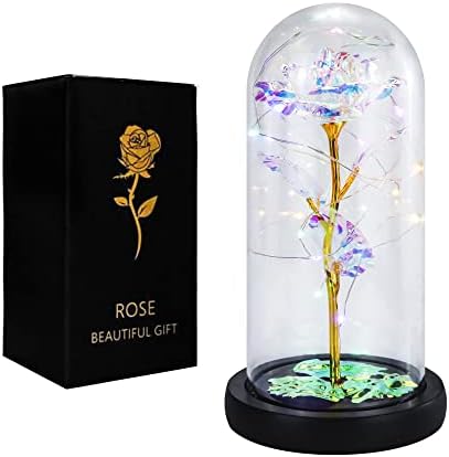 MOLAH קסום יום האהבה מתנה פרחי ורדים, צבעוני מלאכותיים צבעוניים-רוטיים בכיפת זכוכית ליום השנה
