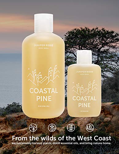שטיפת גוף ארז מדבר רכס ג 'וניפר-סבון קסטיליה טבעוני אורגני מרוכז-כל המרכיבים הטבעיים אמבט שמן אתרי וג' ל רחצה-פרבן,