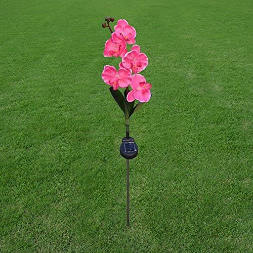 SDGH 5 ראש חיצוני LED מופעל אור סחלב מנורת פרחים לחצר גן דרך דרך דשא עיצוב נוף