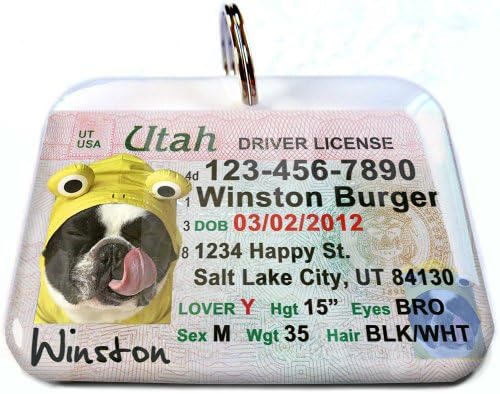 תגי רישיון נהיגה של יוטה לכלבים וחתולים לפי מזהה 4חיית מחמד