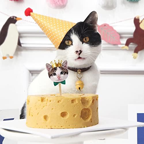 TSJ יום הולדת שמח באנר ליום הולדת חתול, כרזה מסיבת פנים לחתול, קיטי חתול נושאים מקלטים קישוטים לקישוט למסיבת