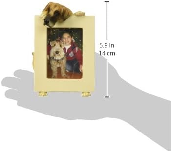 מסגרת תמונה נהדרת של דיין מחזיקה את הצילום המועדף על 2.5 על 3.5 אינץ