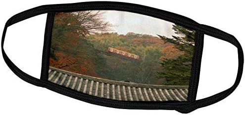 3 עלה סתיו צבע סביב כבל רכבת רכבת, קיוטו, יפן-כמו 15 סט0148 -. - מסכות פנים