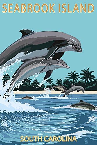 פנס עיתונות דולפינים קופצים, אי סיברוק, דרום קרוליינה