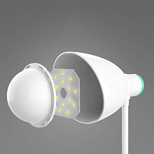 GUOCC מהדק LED מודרני מנורת שולחן תאורה, USB, מופעל על סוללה או תקע, עיניים מגנות, 3 רמות בהירות, מנורה ראש ראש,