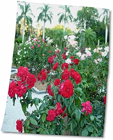 3drose Florene נוף טרופי - ורדים אדומים וכפות הידיים גני סרסוטה - מגבות
