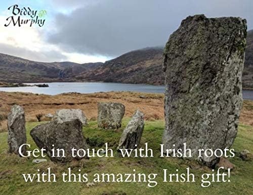 אירי מלאך שומר של בית ומשפחה ברונזה קיר תפאורה פראי אווז סטודיו תוצרת אירלנד