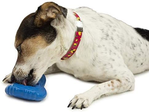 PetSafe חרוט חרוט צעצועים - מילוי והקפיא פינוק אחיז