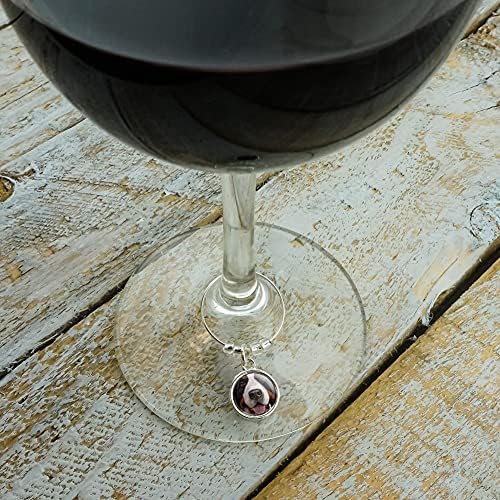 ברנזה הר כלב פנים תקריב יין זכוכית קסם לשתות סמן