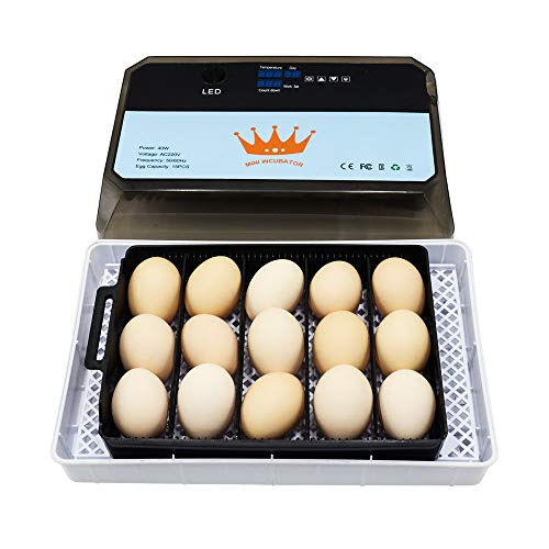 1 יחידות חממת ביצים 15 חממת ביצים דיגיטלית בקיעה אוטומטית חממת ביצי אווז ברווז עוף תקנות אמריקאיות