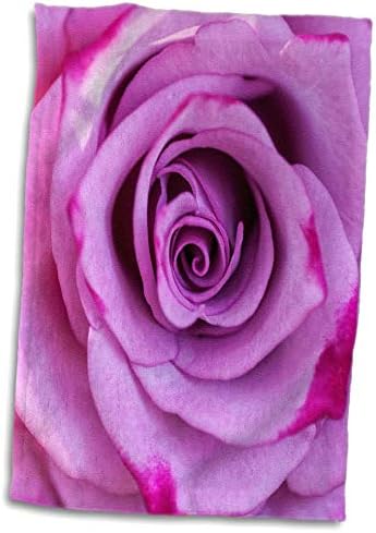 פרחי צילום 3DROSE UTA NAUMANN - פריחת ורוד ורודה יפה - מגבות