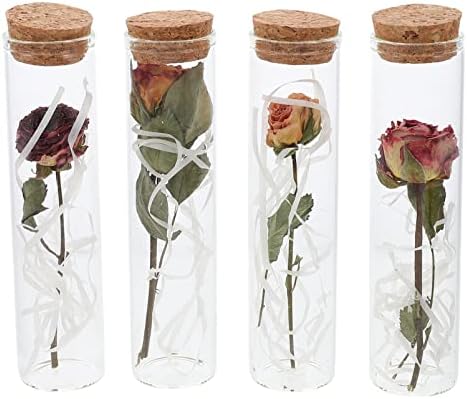 מתנת פרחי ורד זכוכית של הנבאס 4 יח 'שמרו פרחים אמיתיים פרחים יבשים בבקבוק זכוכית מבקשת בקבוק הודעה למלאכות