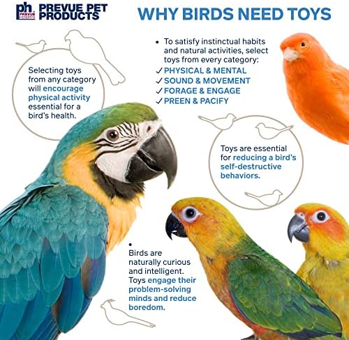 Prevue מוצרי חיות מחמד צליל ותנועה עקיצות גוף דינג צעצוע ציפור 60950