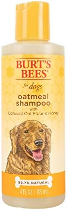 ברט ' ס דבורים לכלבים שמפו שיבולת שועל טבעי עם קמח שיבולת שועל קולואידי ושמפו לכלבים דבש / שיבולת שועל, שמפו