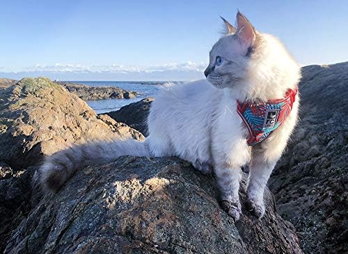 רתמת חתול קיטי הרפתקאות חיות מחמד, גדול, האיים המלדיביים