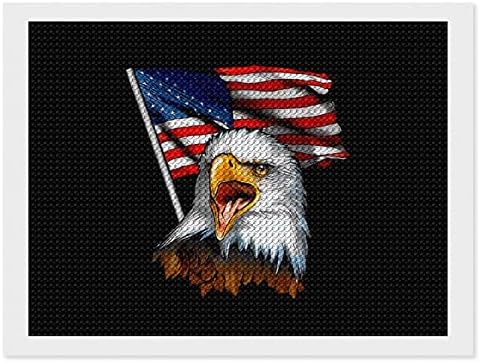 ערכות ציור יהלומי נשר קירח דגל אמריקאי וינטג '5 ד' עשה זאת בעצמך תרגיל מלא ריינסטון ארטס וול דקור למבוגרים
