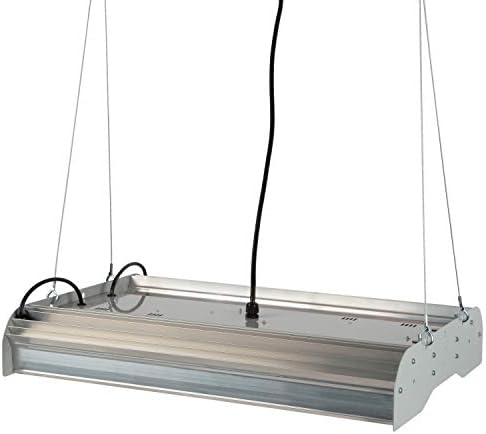 Accuview Led Bay