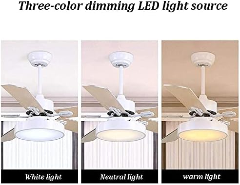 מאוורר תקרה של ניאוצי עם אורות, מאוורר תקרה לבן מודרני LED מודרני LED מעץ מאוורר תקרה מאוורר תקרה מנורה סלון